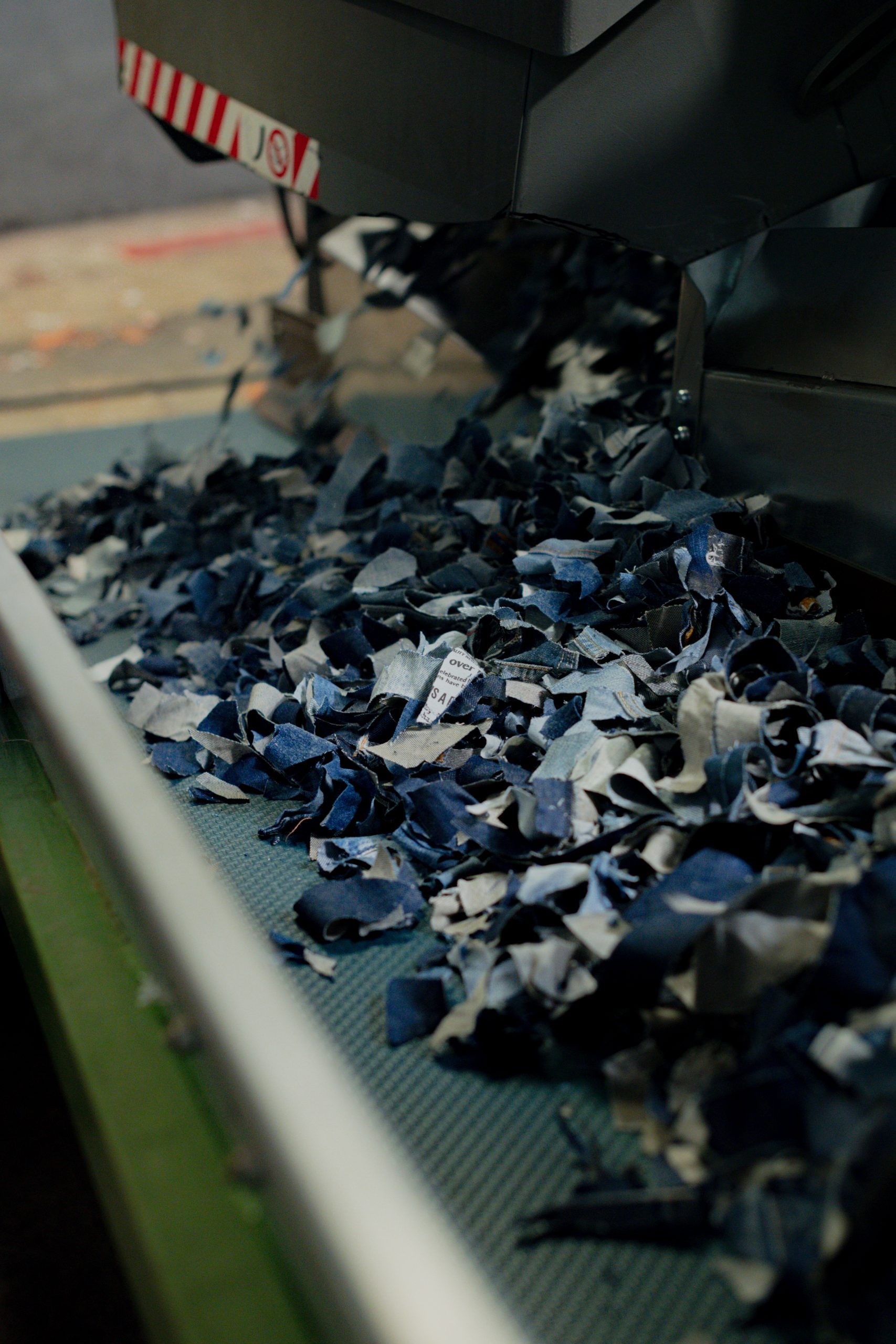 Levi’s x Back to Eco_Photo_Social_press_2839 Levi's x Back to Eco_Photo_Social_press_2839