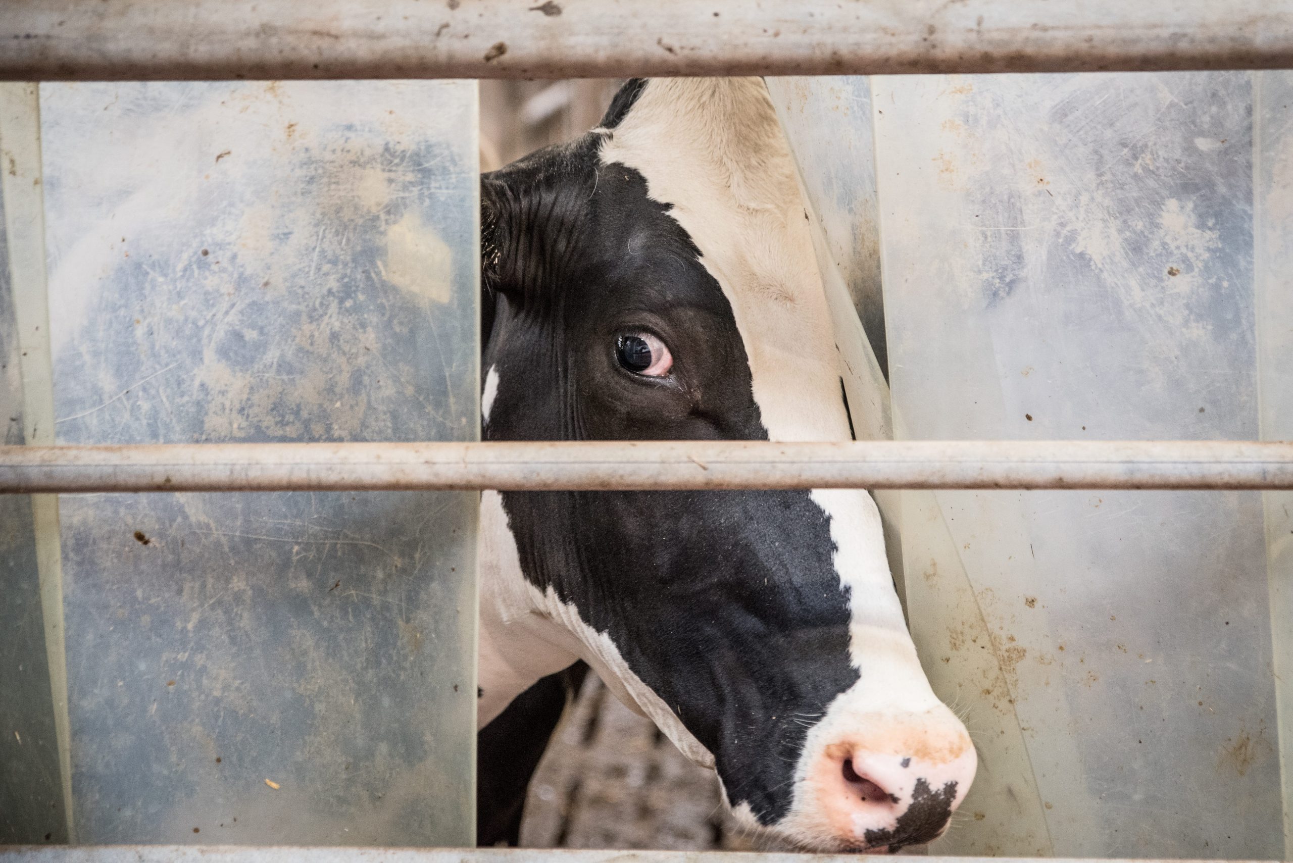 pxfuel.com pxfuel.com